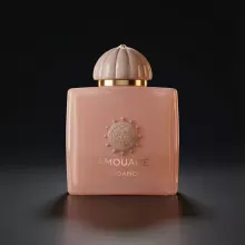 آمواج گایدنس  Amouage Guidance